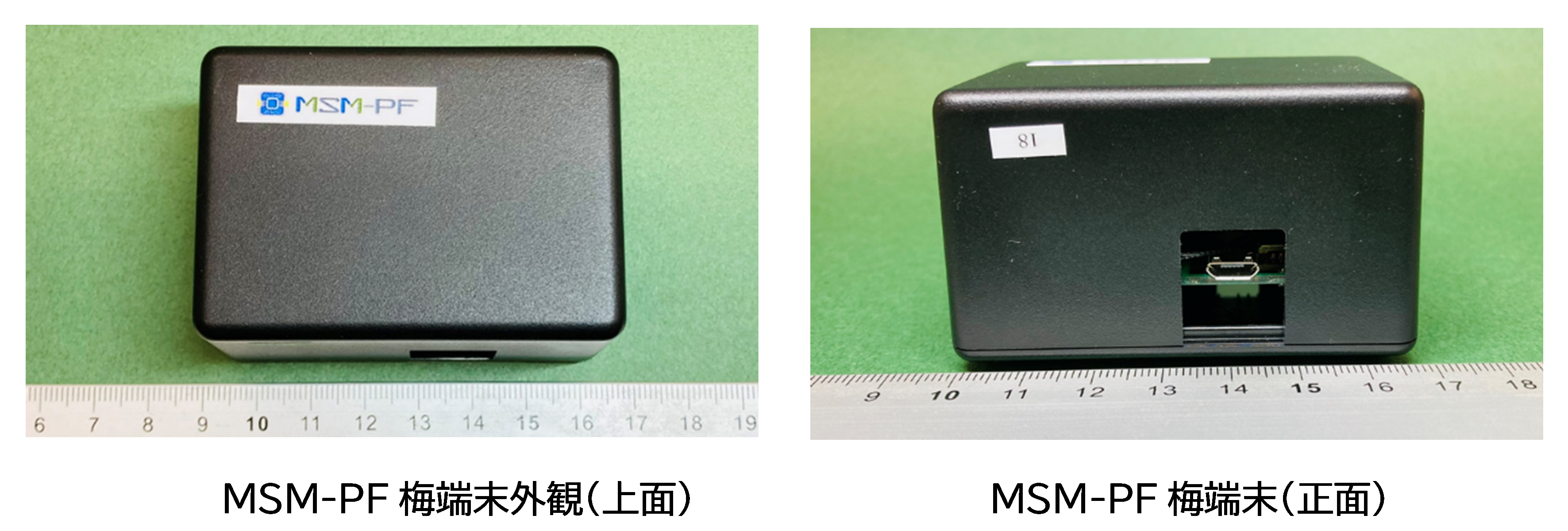 2. 梅本体 — MSM-PF manual ドキュメント